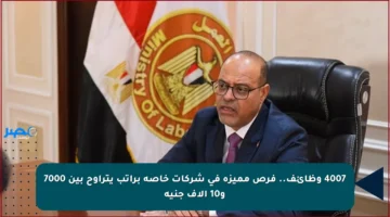 4007 وظائف.. فرص مميزة في شركات خاصة براتب يتراوح بين 7000 و10 آلاف جنيه